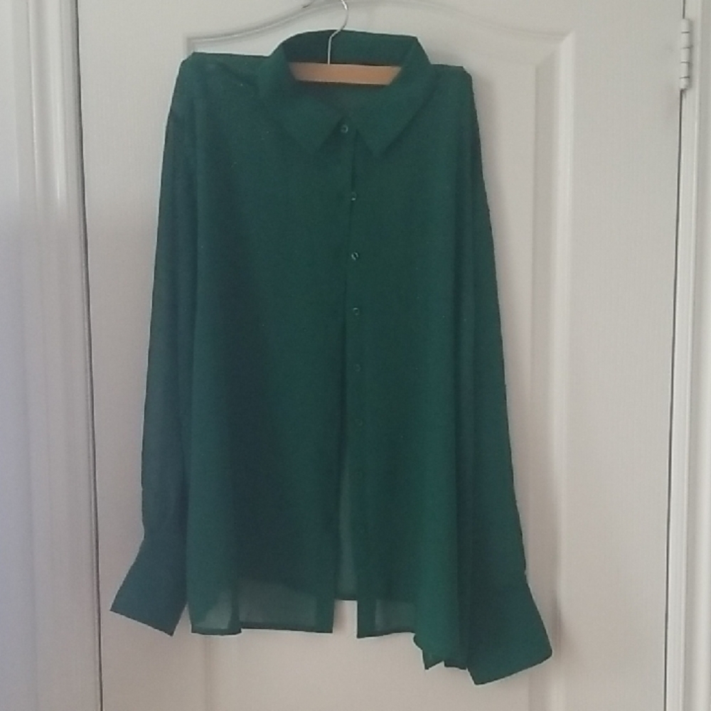 Rachel Zoe Emerald Green Sheer Button-Up Blouse